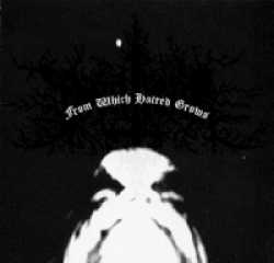 Draugar (USA) : From Which Hatred Grows